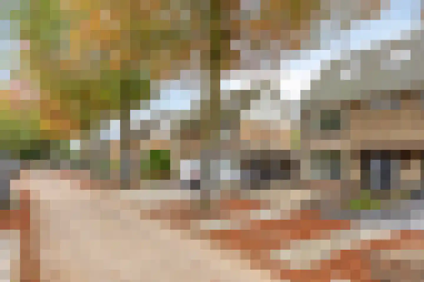 Schoonstraat 60 Heesch thumbnail 41
