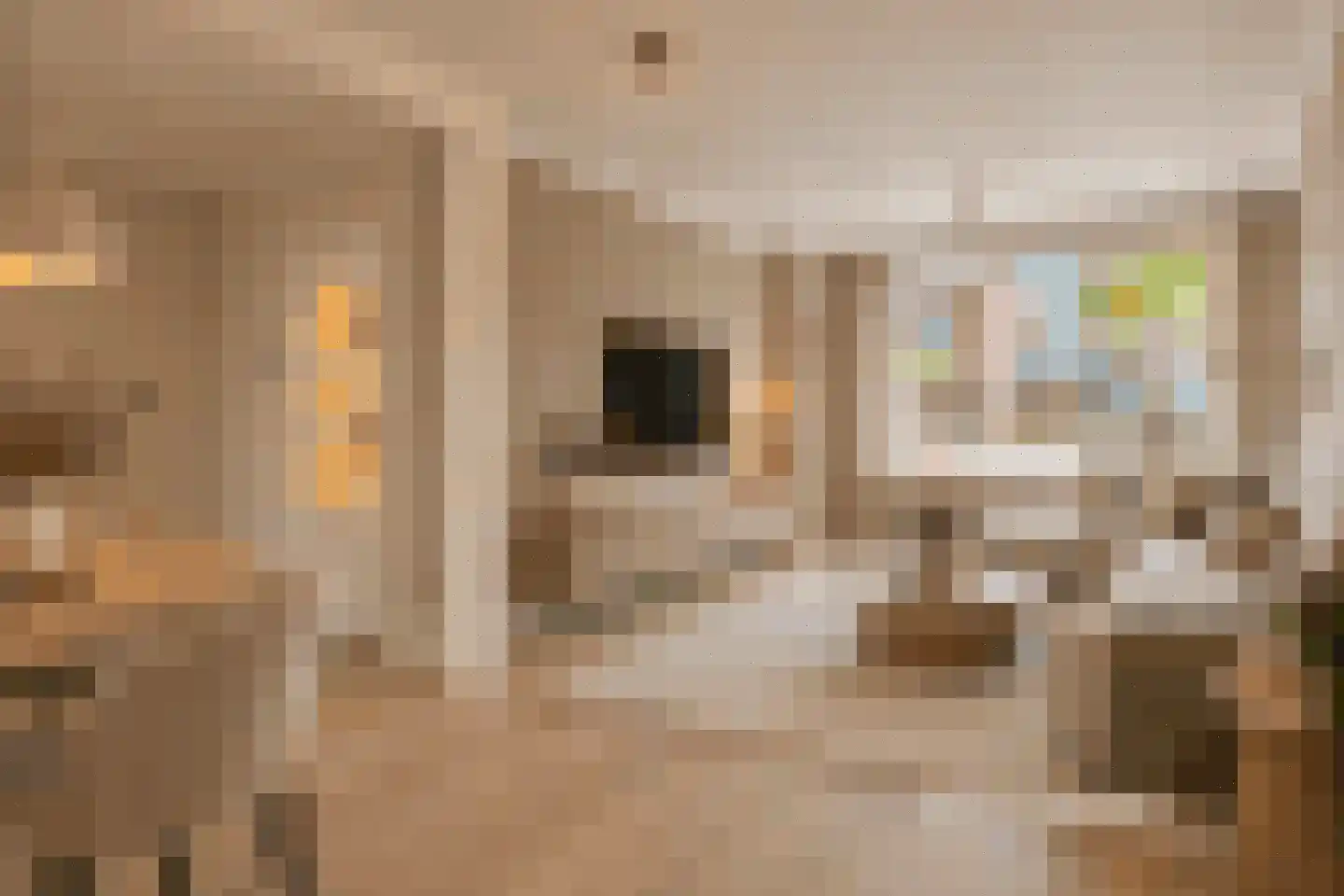 Schoonstraat 60 Heesch thumbnail 9