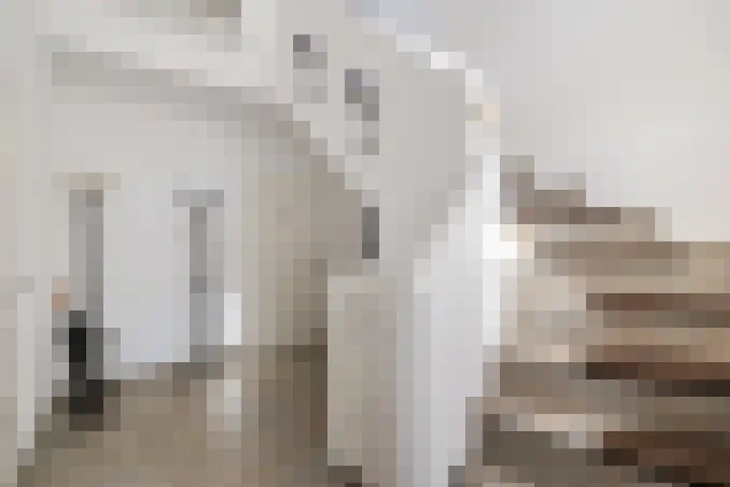 Schoonstraat 99 Heesch thumbnail 10