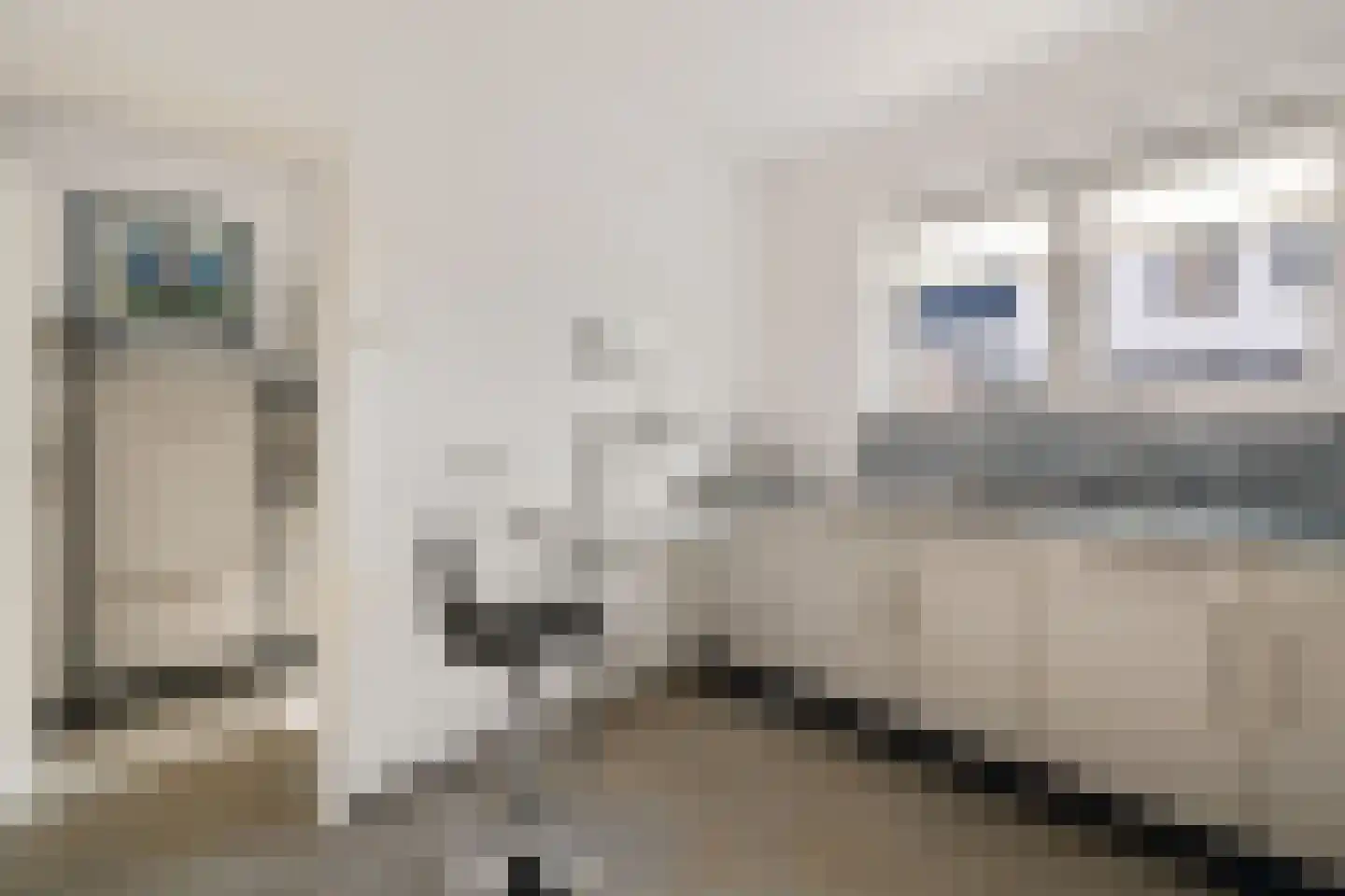 Schoonstraat 99 Heesch thumbnail 14