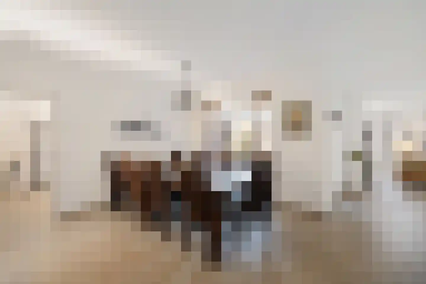 Schoonstraat 99 Heesch thumbnail 18