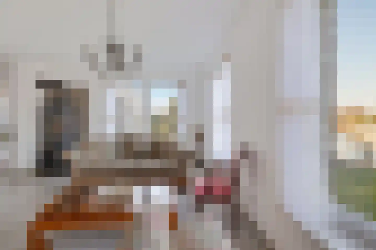 Schoonstraat 99 Heesch thumbnail 21