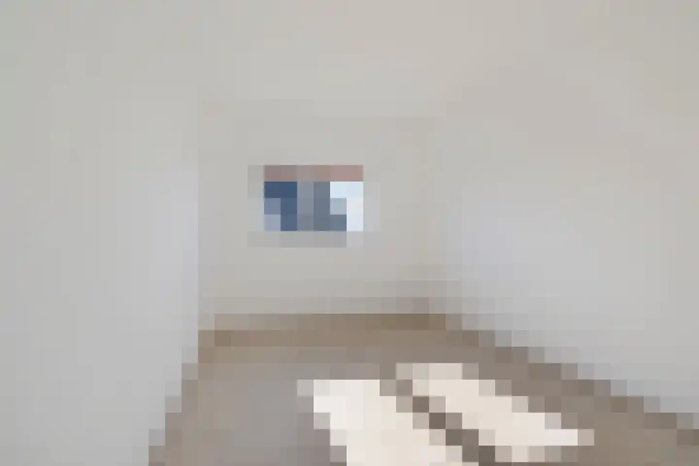 Schoonstraat 99 Heesch thumbnail 32