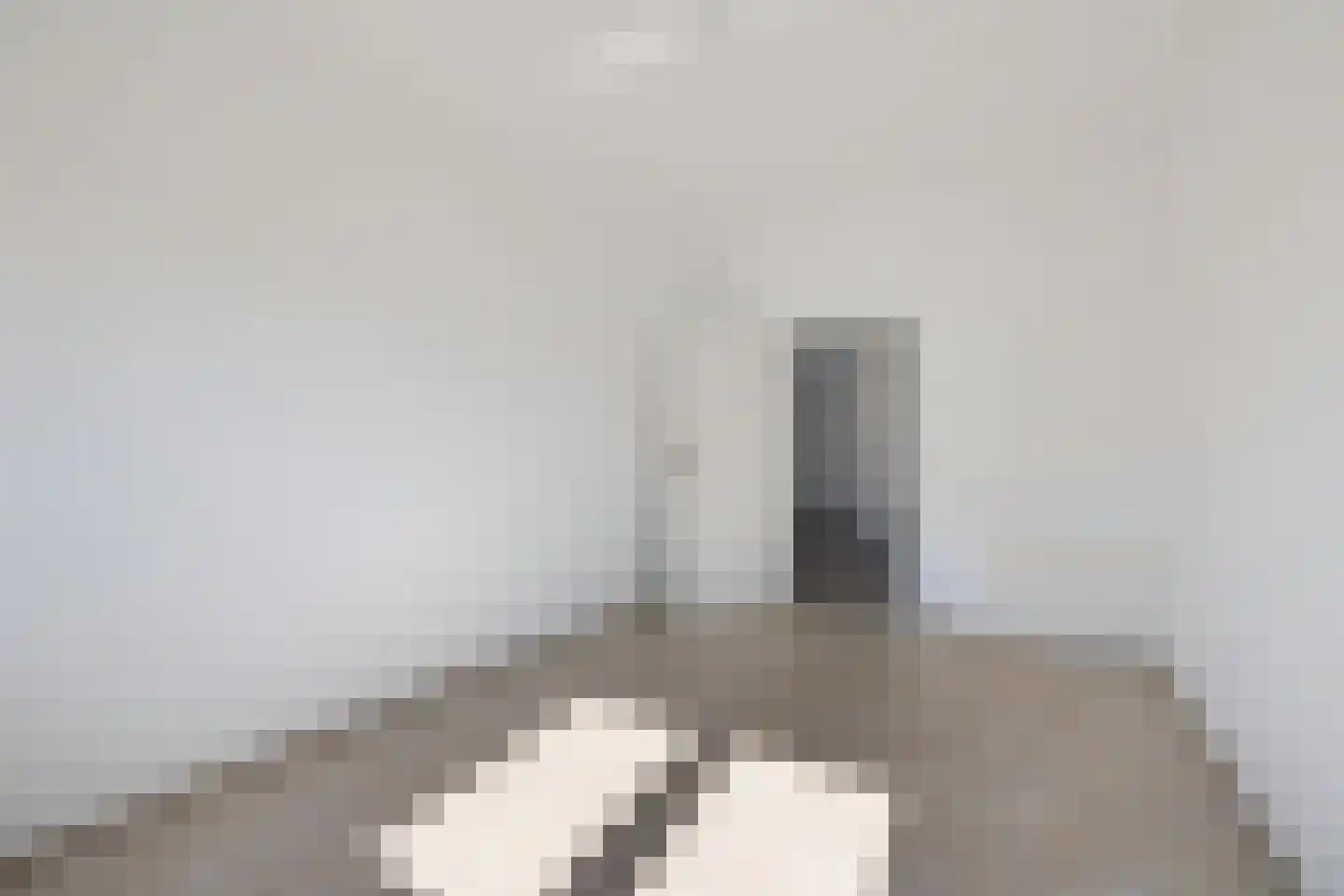 Schoonstraat 99 Heesch thumbnail 33