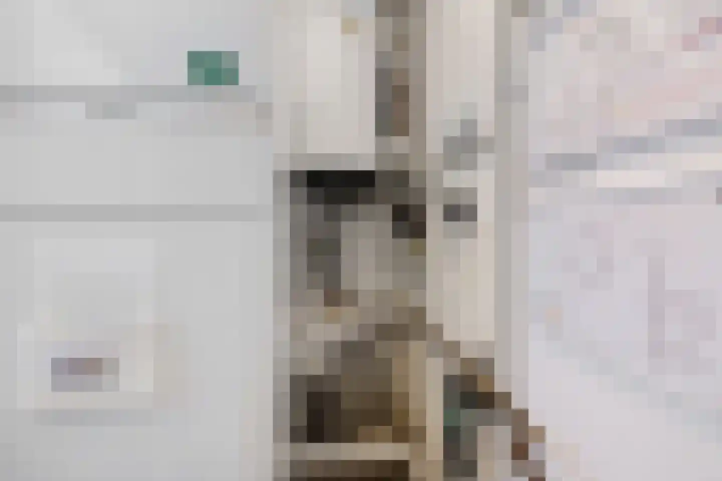 Schoonstraat 99 Heesch thumbnail 46