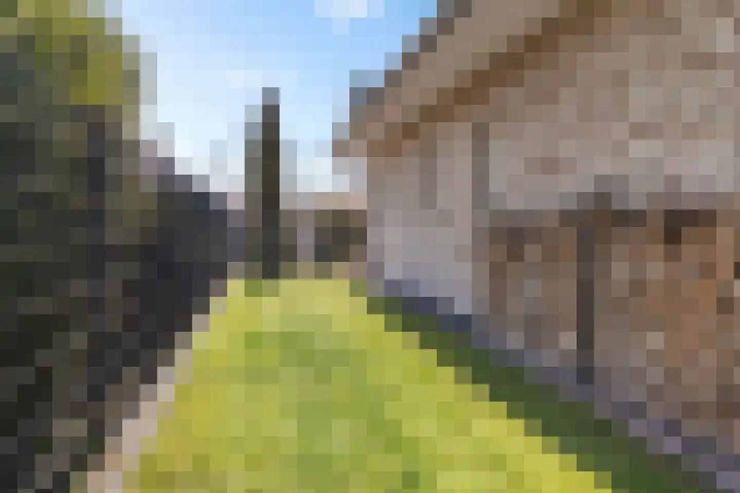 Schoonstraat 99 Heesch thumbnail 52
