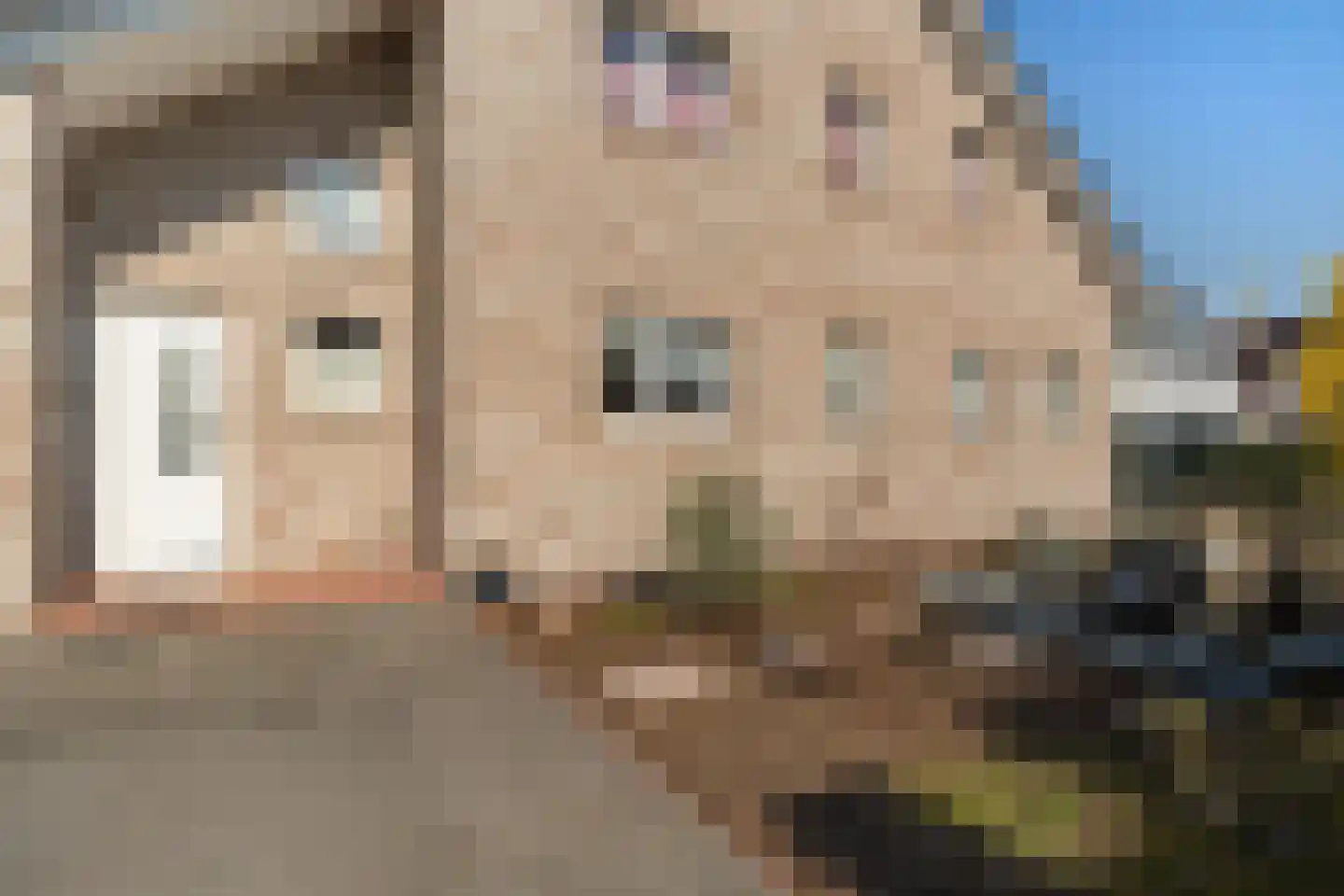 Schoonstraat 99 Heesch thumbnail 7