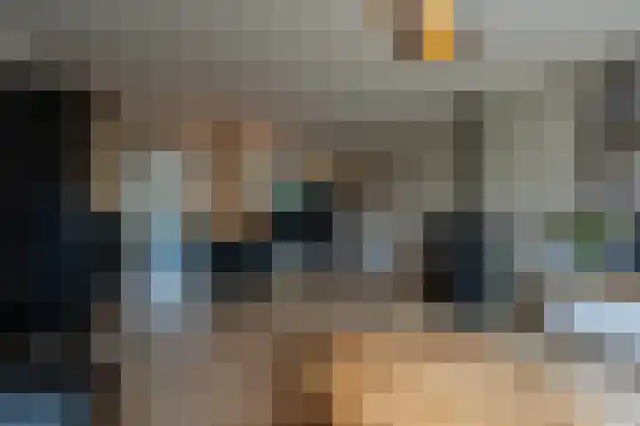 Schoonveld 64 Rotterdam thumbnail 12
