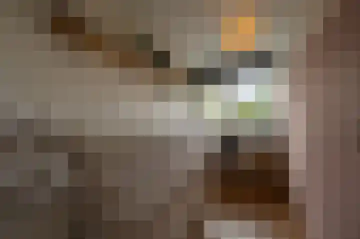 Schoonveld 64 Rotterdam thumbnail 19