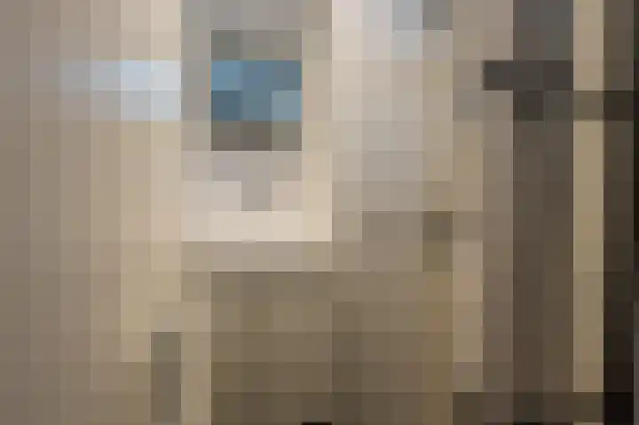 Schoonveld 64 Rotterdam thumbnail 22