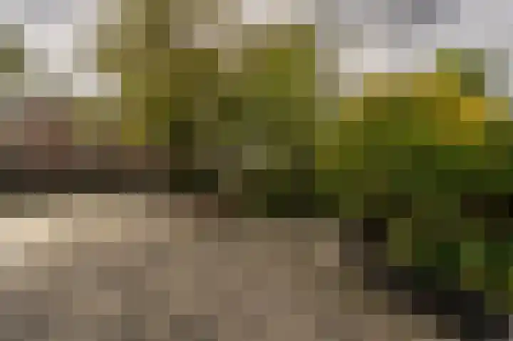 Schoonveld 64 Rotterdam thumbnail 30