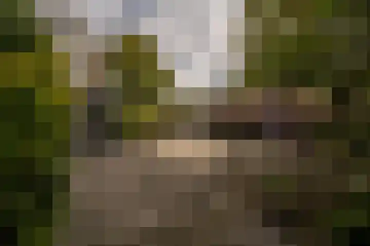 Schoonveld 64 Rotterdam thumbnail 31