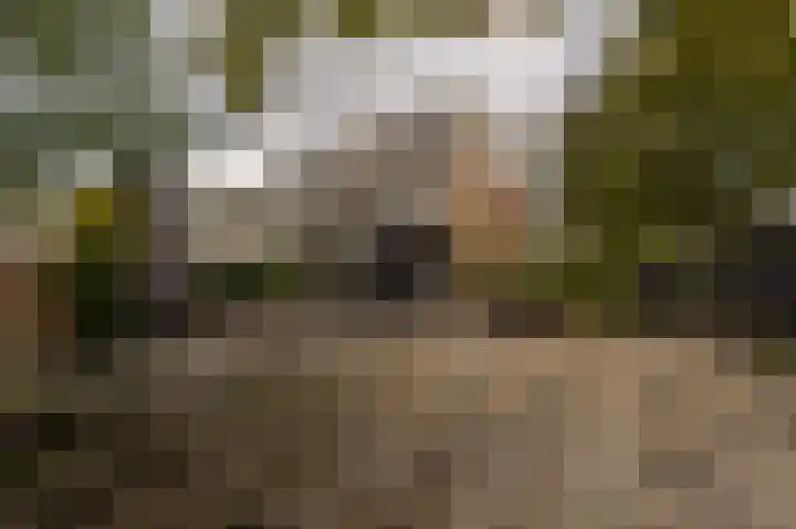 Schoonveld 64 Rotterdam thumbnail 32