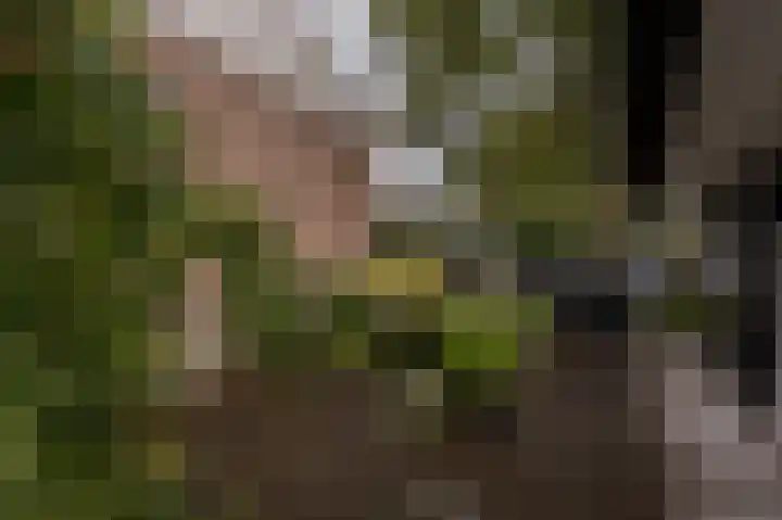 Schoonveld 64 Rotterdam thumbnail 33