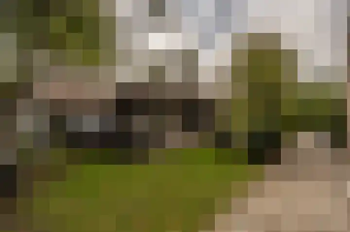 Schoonveld 64 Rotterdam thumbnail 34
