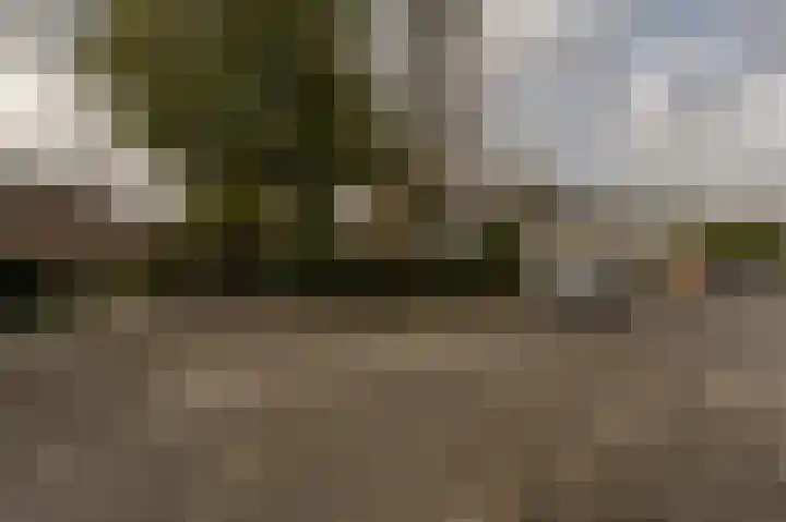 Schoonveld 64 Rotterdam thumbnail 35