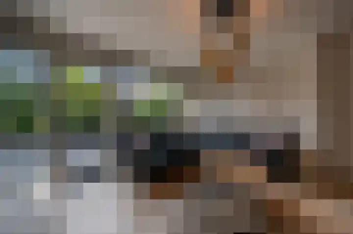 Schoonveld 64 Rotterdam thumbnail 4