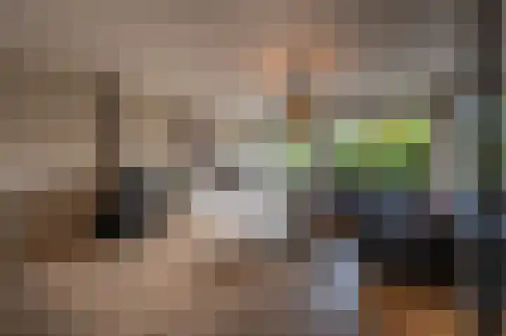 Schoonveld 64 Rotterdam thumbnail 7