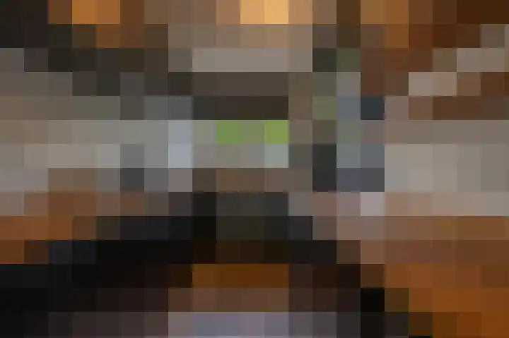 Schoonveld 64 Rotterdam thumbnail 8