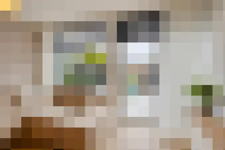 Schoonveld 66 Rotterdam thumbnail 11