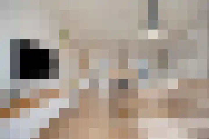 Schoonveld 66 Rotterdam thumbnail 12