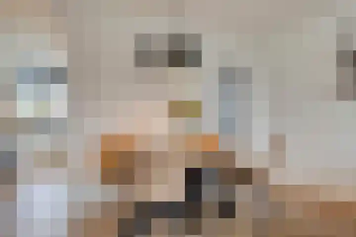 Schoonveld 66 Rotterdam thumbnail 13