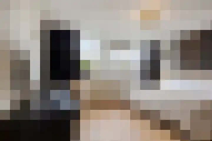 Schoonveld 66 Rotterdam thumbnail 21