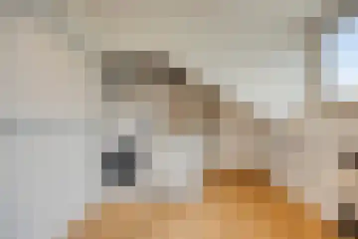 Schoonveld 66 Rotterdam thumbnail 32