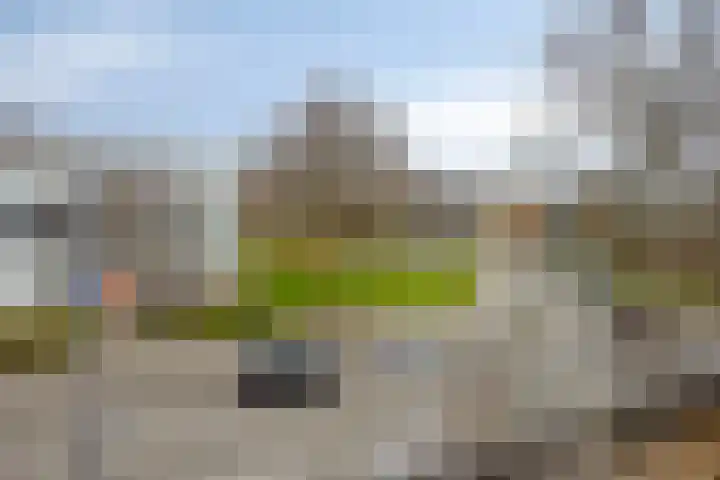 Schoonveld 66 Rotterdam thumbnail 33