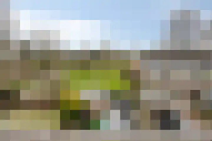 Schoonveld 66 Rotterdam thumbnail 34