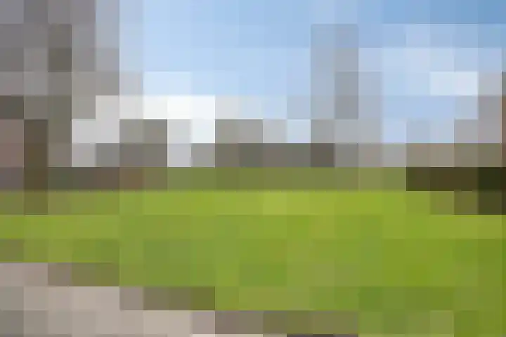 Schoonveld 66 Rotterdam thumbnail 37