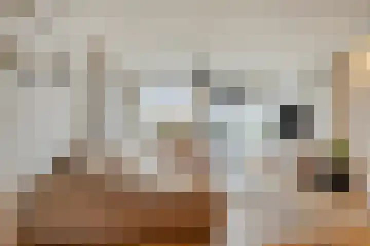 Schoonveld 66 Rotterdam thumbnail 8