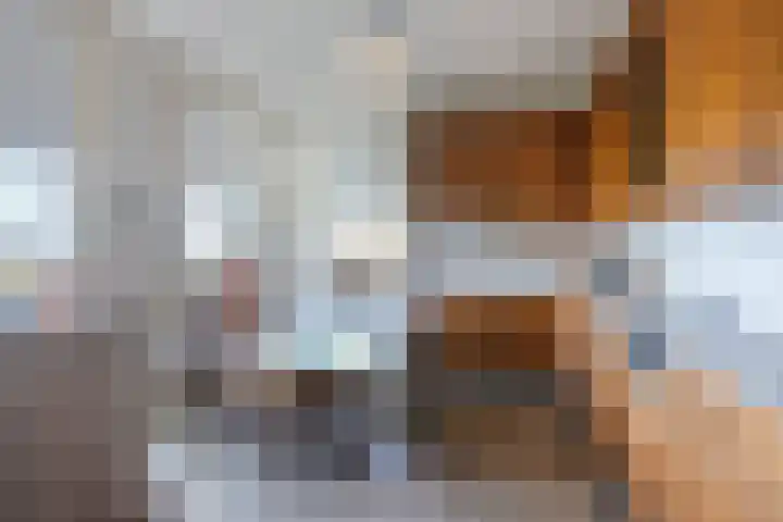 Schoonveldeweg 10 Koekange thumbnail 12
