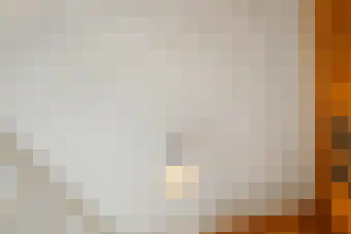 Schoonveldeweg 10 Koekange thumbnail 13