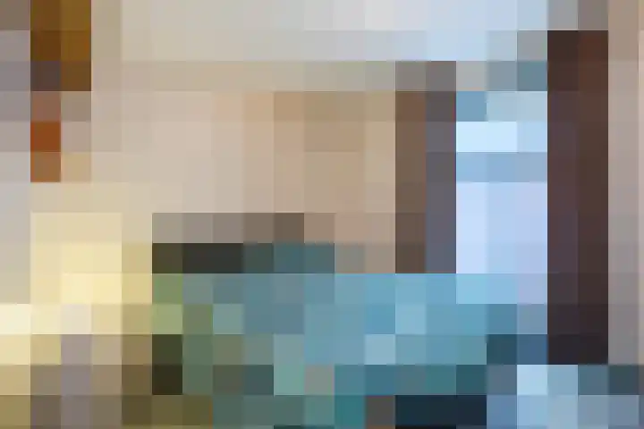 Schoonveldeweg 10 Koekange thumbnail 17