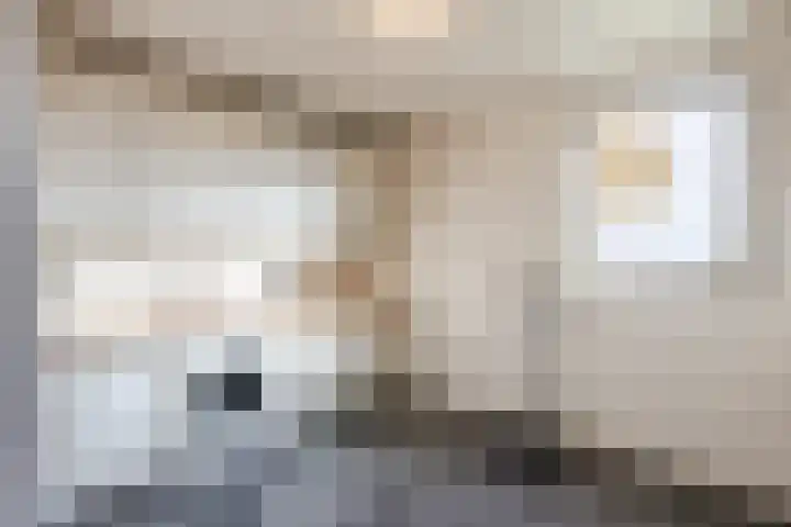 Schoonveldeweg 10 Koekange thumbnail 19