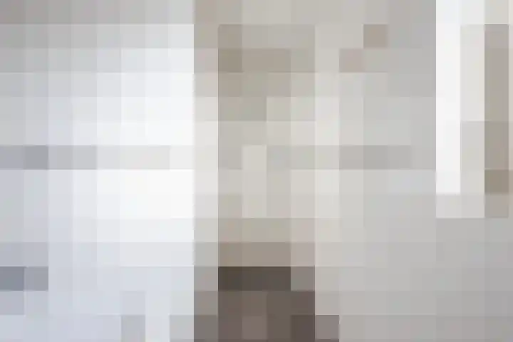 Schoonveldeweg 10 Koekange thumbnail 23