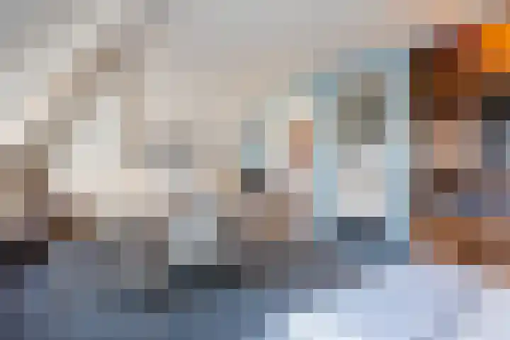 Schoonveldeweg 10 Koekange thumbnail 29