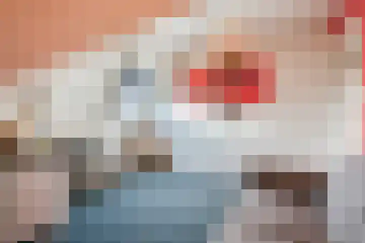 Schoonveldeweg 10 Koekange thumbnail 32