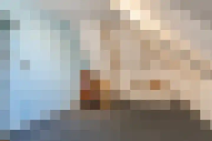 Schoonveldeweg 10 Koekange thumbnail 34