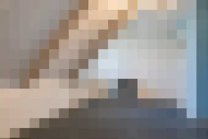 Schoonveldeweg 10 Koekange thumbnail 35