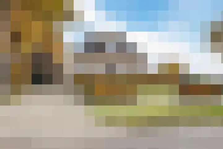 Schoonveldeweg 10 Koekange thumbnail 39