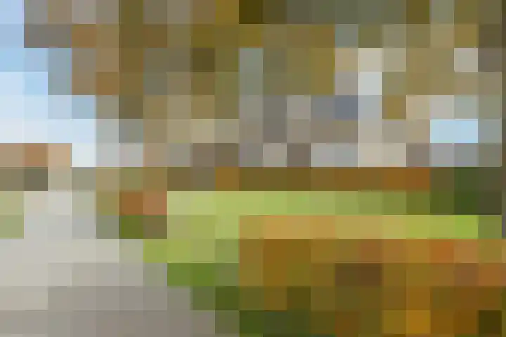 Schoonveldeweg 10 Koekange thumbnail 40