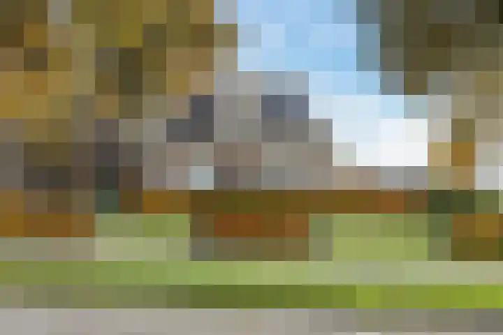 Schoonveldeweg 10 Koekange thumbnail 41