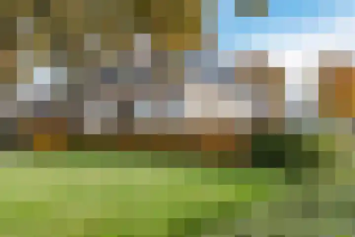 Schoonveldeweg 10 Koekange thumbnail 42