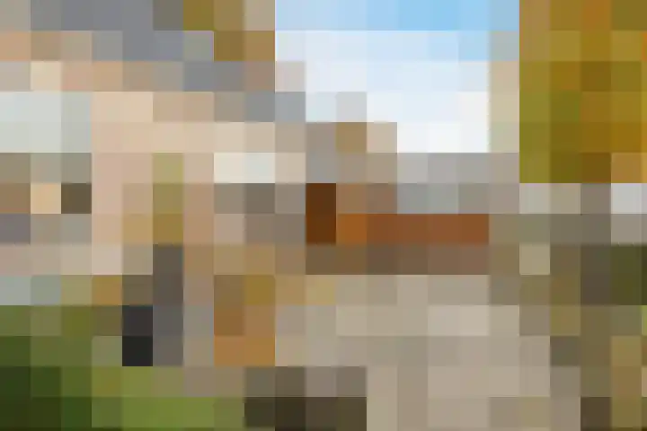 Schoonveldeweg 10 Koekange thumbnail 44
