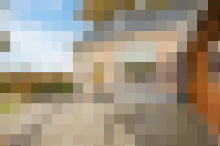 Schoonveldeweg 10 Koekange thumbnail 45