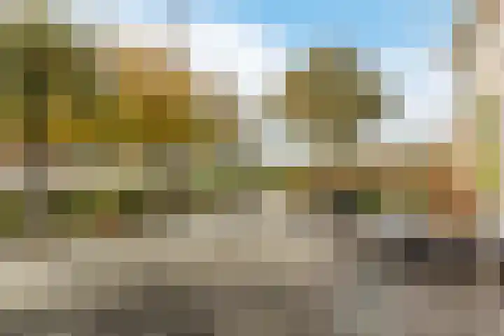 Schoonveldeweg 10 Koekange thumbnail 46