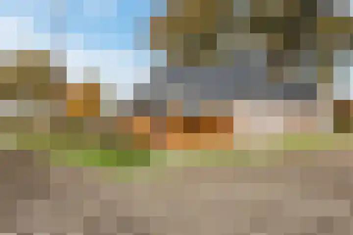 Schoonveldeweg 10 Koekange thumbnail 50