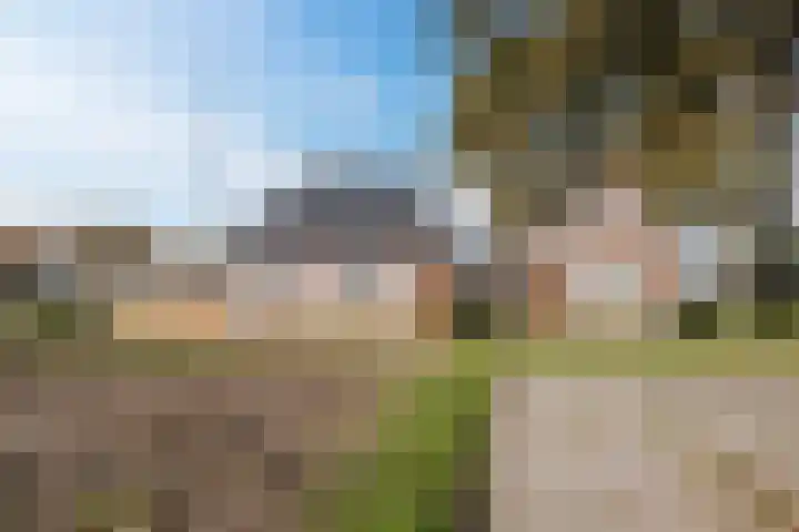 Schoonveldeweg 10 Koekange thumbnail 51